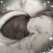 Donna Lee's photo