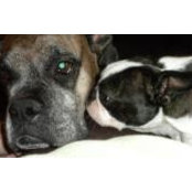 Darlene Avery's photo