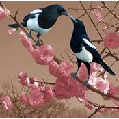 Liz Quinn's photo