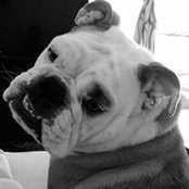 Brian David's photo