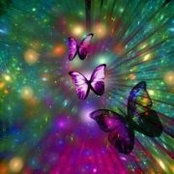 Jacqui Pfeiffer's photo