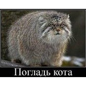 Степан Бийлихом's photo