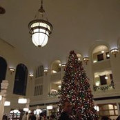 Krissy Savage's photo