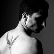 Photo de Orel Levy