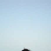 Foto von Ghazal Shi