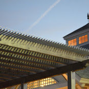Jeri Williams's photo