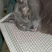 Brenda Powell's photo