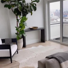 The B And Me’s Apt