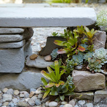 Landscape Ideas