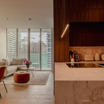 Axis Brickell Luxury Condo Renovation
