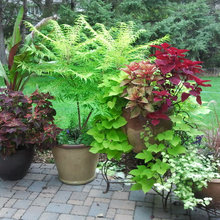 Container gardens