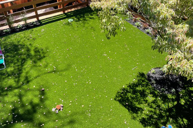 Photo of a medium sized contemporary back garden in San Francisco.