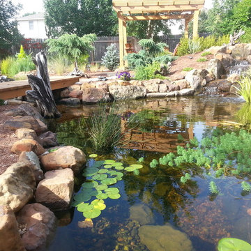 Ecosystem Ponds, Water Garden Ideas for Your Austin, Central Texas Landscape