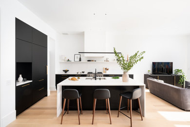 Trendy kitchen photo in DC Metro with black cabinets