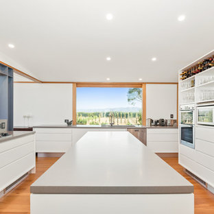 Large modern kitchen pantry appliance - Kitchen pantry - large modern u-shaped light wood floor and brown floor kitchen pantry idea in Central Coast with an undermount sink, white cabinets, quartz countertops, gray backsplash, stone slab backsplash, stainless steel appliances, an island and gray countertops