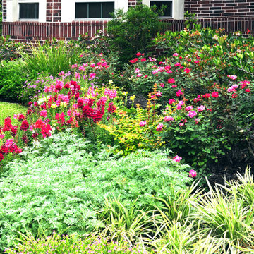 Cottage-style front yard in Braeswood Place