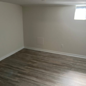 Basement Remodel