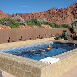 Original Endless Pools&reg; - Lifestyle And Leisure