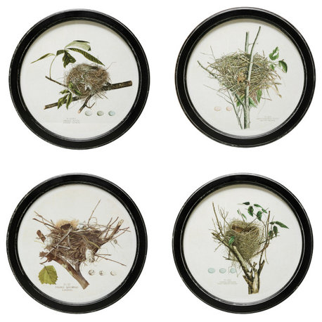 Round Framed Wall Decor with Vintage Reproduction Nest Print, 4 Styles