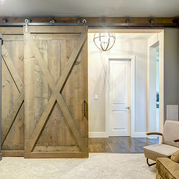 By-Pass Barn Doors for Media Room
