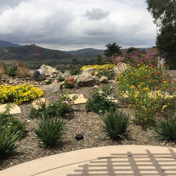 Less lawn in El Cajon