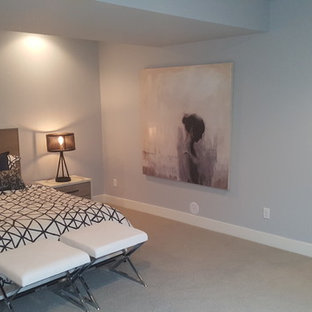 Design ideas for a large classic look-out basement in Denver with blue walls and carpet.