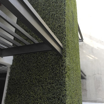 Ranka Lasting Greenery