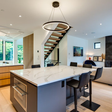 Trout Lake Modern | Single Family Home