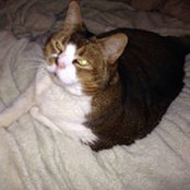 Christine Burghardt's photo