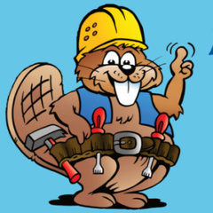 Donnie Beaver Handyman
