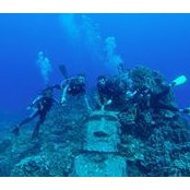 Andres Gardeweg's photo
