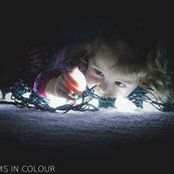 Brian Pacheco's photo