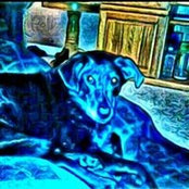 Pat Johnsons foto