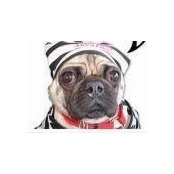 Birthe Lystrup Andersen's photo