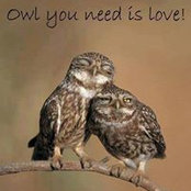 Veani Regina's photo