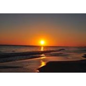 Emma Snowden's photo