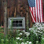 Karen Grossman-Stoll's photo