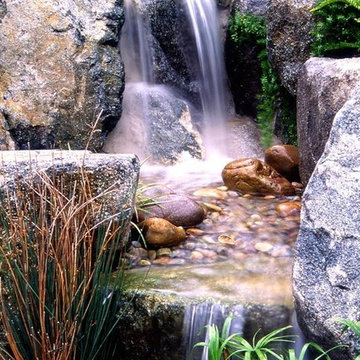 Koi pond