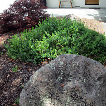 Cupertino, California Low Water Garden Design & Lawn Replacement
