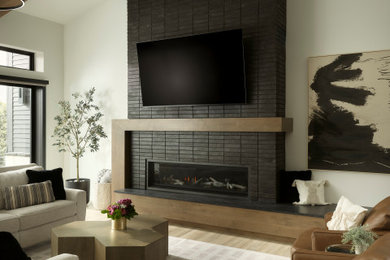 Living room - contemporary living room idea in Denver