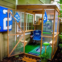 catio