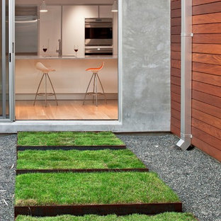 Cette photo montre un jardin arrière moderne de taille moyenne avec des bordures.