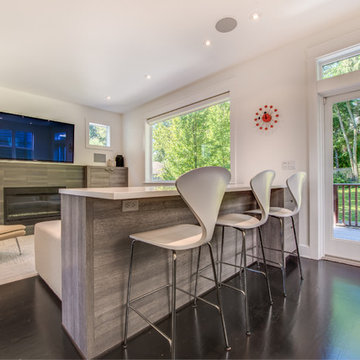 Magnolia Contemporary Kitchen and Family Room Remodel