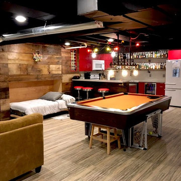Modern Resourceful Basement