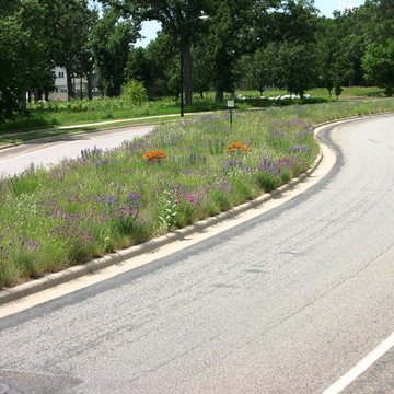 Prairie Projects