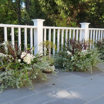 Planters & WIndow Boxes