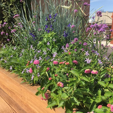 Rooftop garden 5