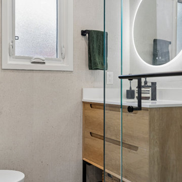 Small Bathroom Renovation in Little Portugal Toronto