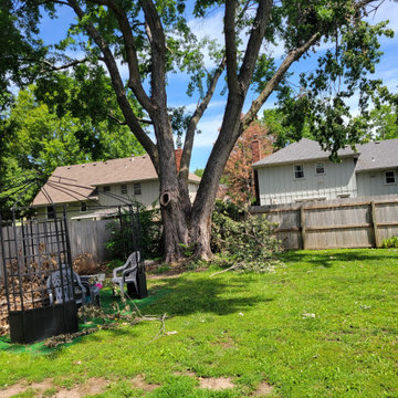 Tree service