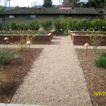 Vegetable gardens